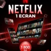 Netflix 1 ecran - BST PRO Algerie