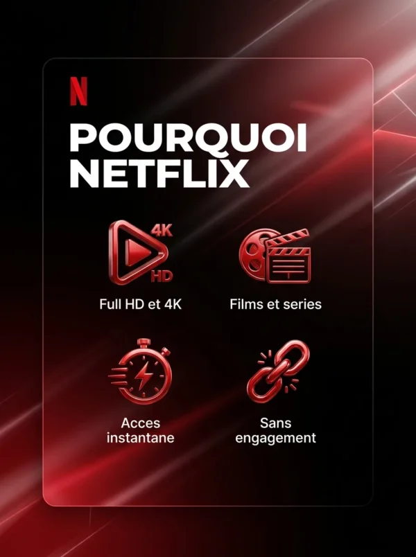 Netflix 1 ecran - BST PRO Algerie - avantages