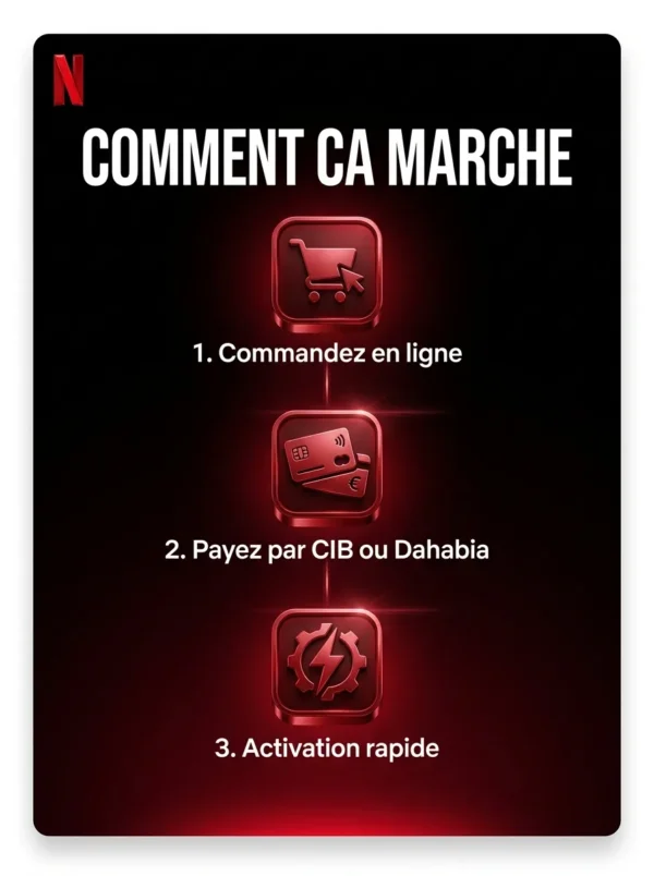 Netflix 1 ecran - BST PRO Algerie - comment ca marche