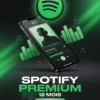 Spotify Premium 12 mois - BST PRO Algerie
